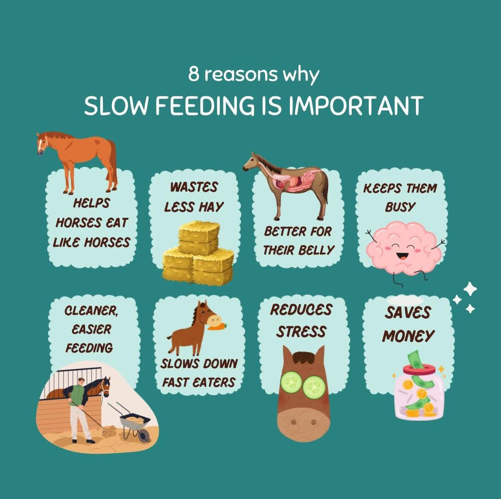 Why Slow Feed? 🌱