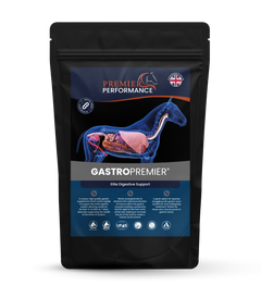 Gastro Premier product packaging for digestive support on a white background