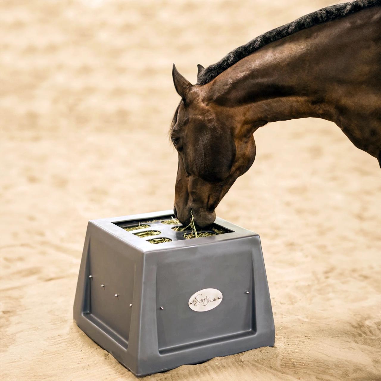 The Savvy Feeder®