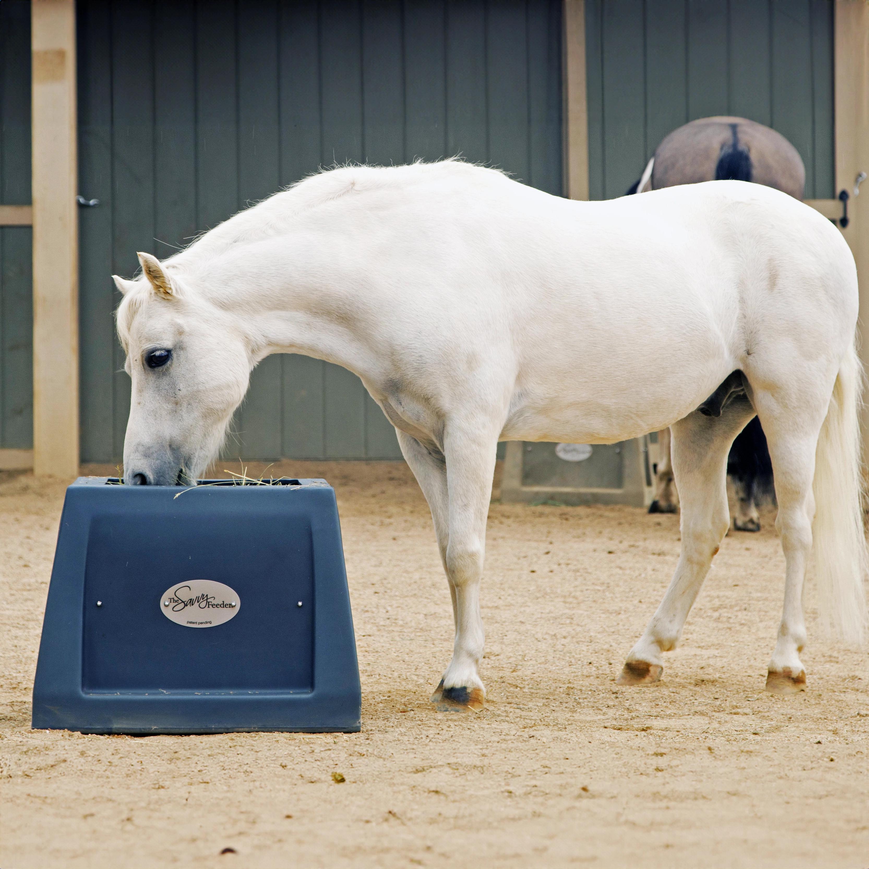 The Savvy Feeder®