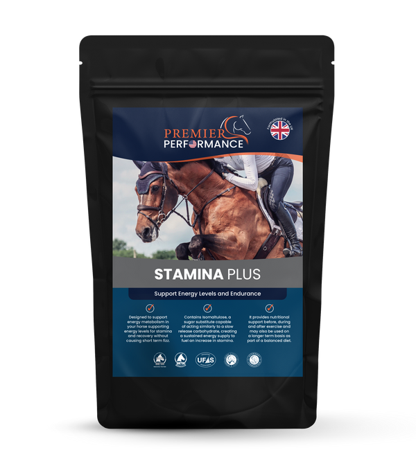 Stamina Plus