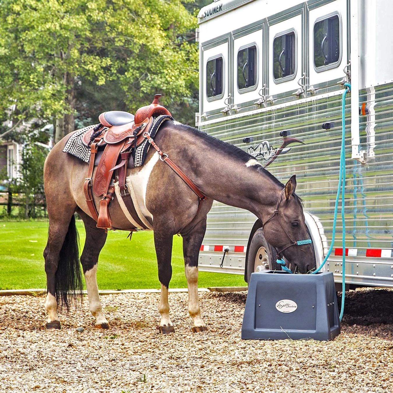 A tacked up paint horse eats hay from its Savvy Feeder beside an aluminum horse trailer.