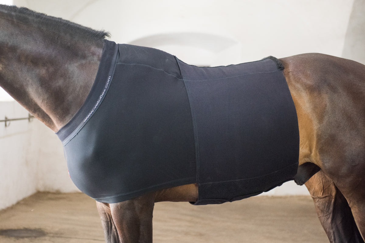 VETOFLEX Recovery Hernia Belt Stable