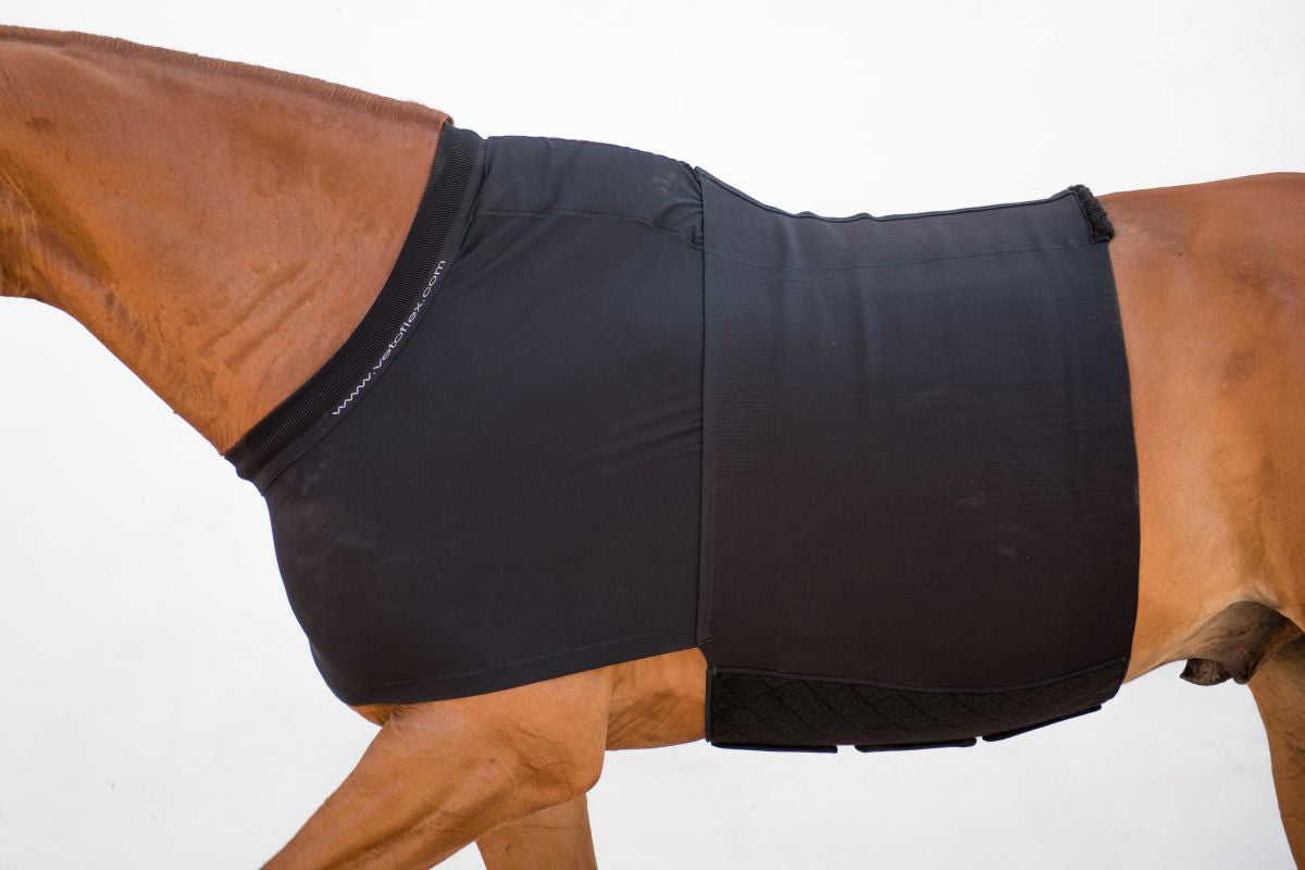 VETOFLEX Recovery Hernia Belt Stable