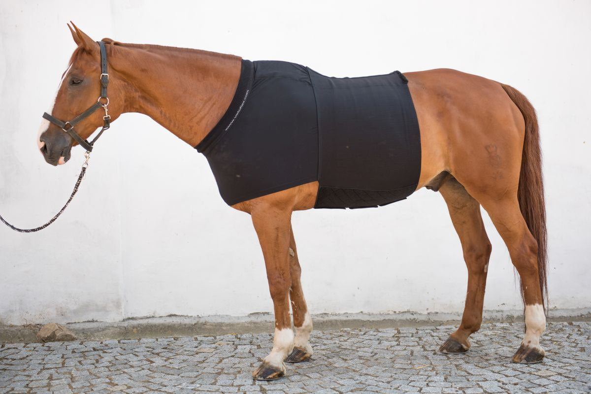 VETOFLEX Colic Recovery Belt Stable