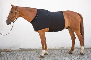 VETOFLEX Colic Recovery Belt Stable