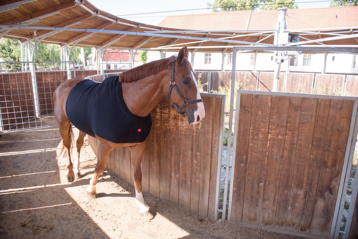 VETOFLEX Colic Recovery Belt Stable