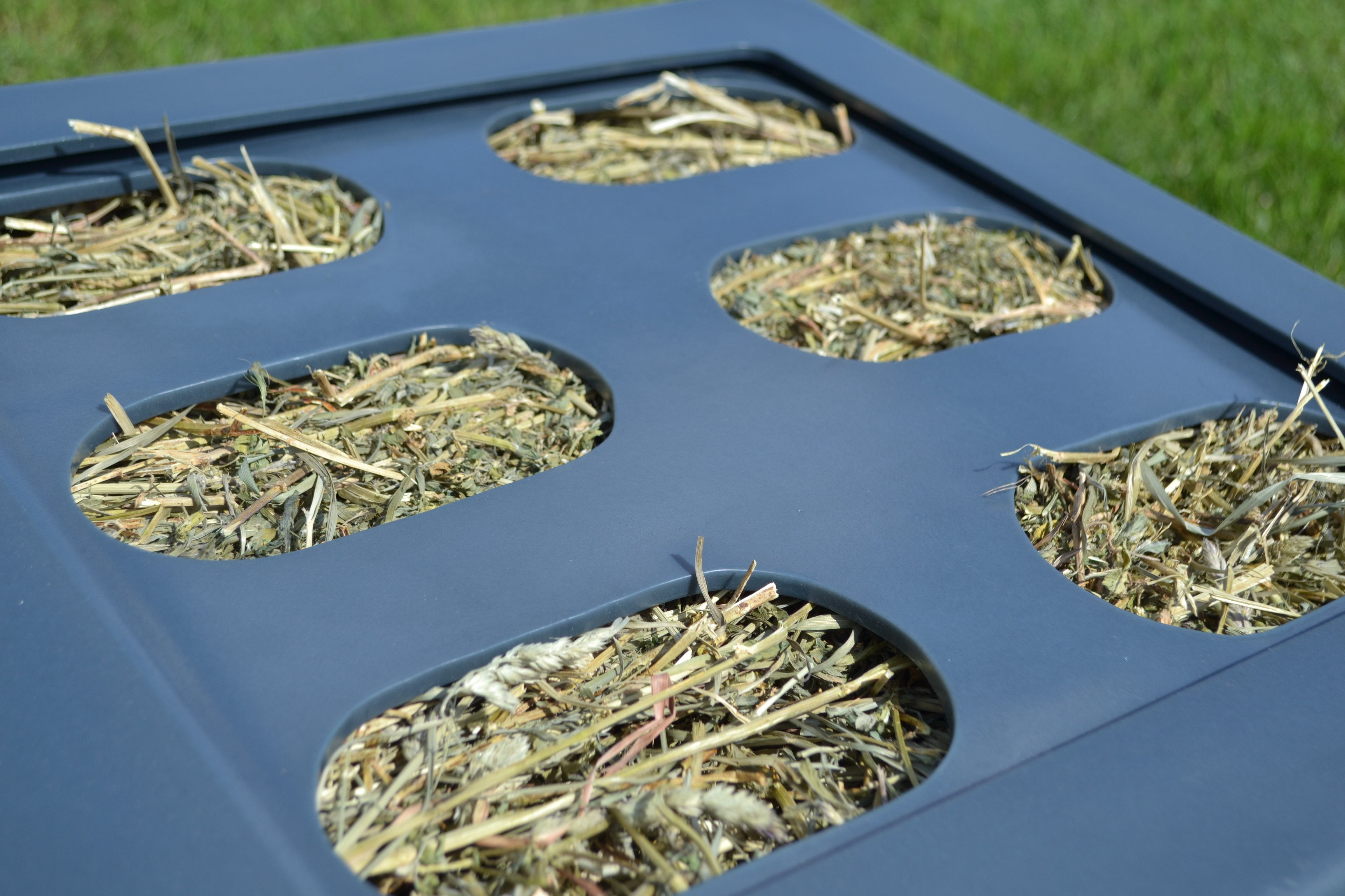 The large grate for the Savvy Feeder, a slow hay feeder for horses.slow