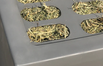 What type of hay will you be purchasing  next year?