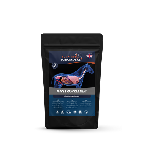 GastroPremier on Subscribe & Save