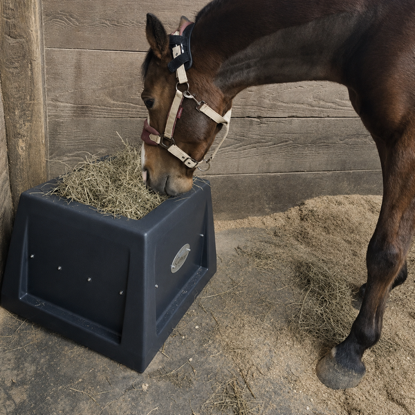 Mealtime just got better for Stakk and his girlfriend, Rita! Huge thank you to @jennifer.truett and her hubby, Lenny, for turning us on to these amazing feeders! No introduction needed, they loved them