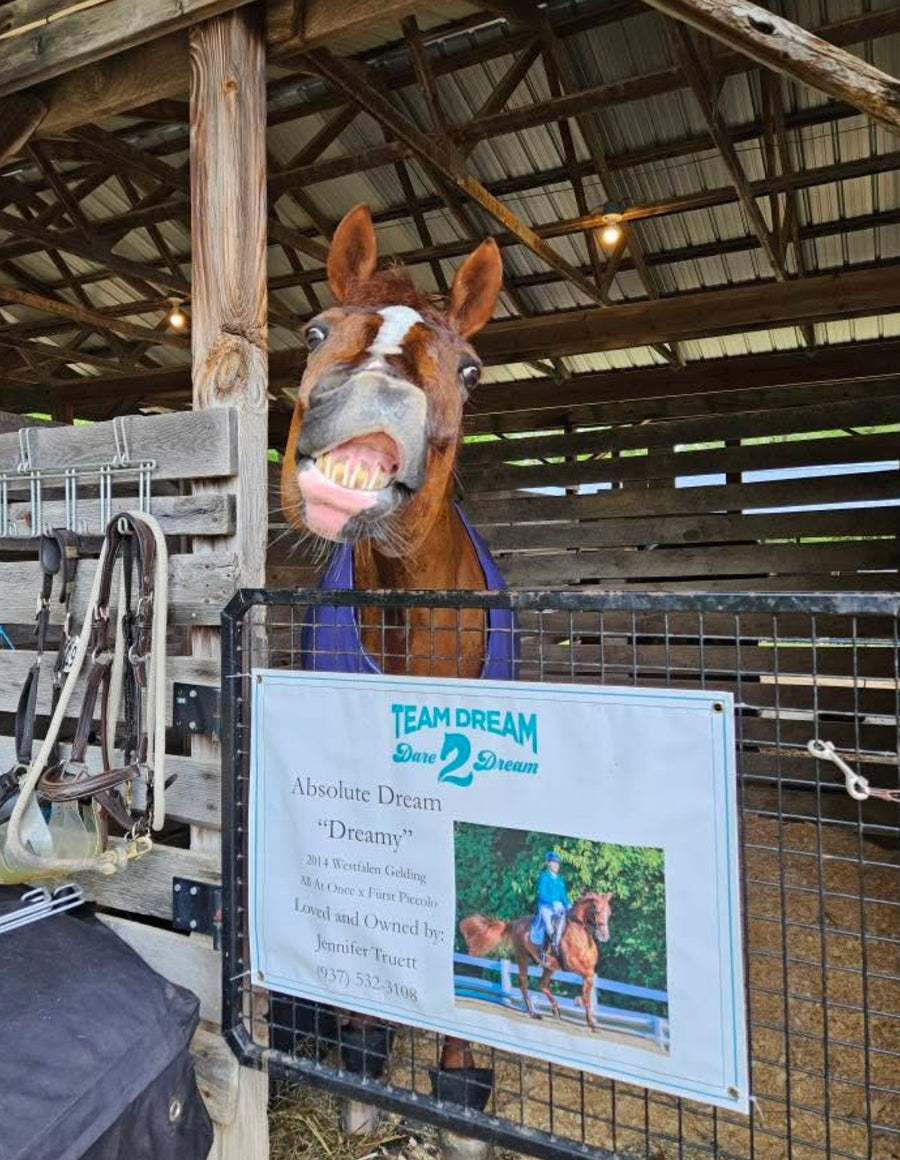 The Story Behind the Savvy Feeder®