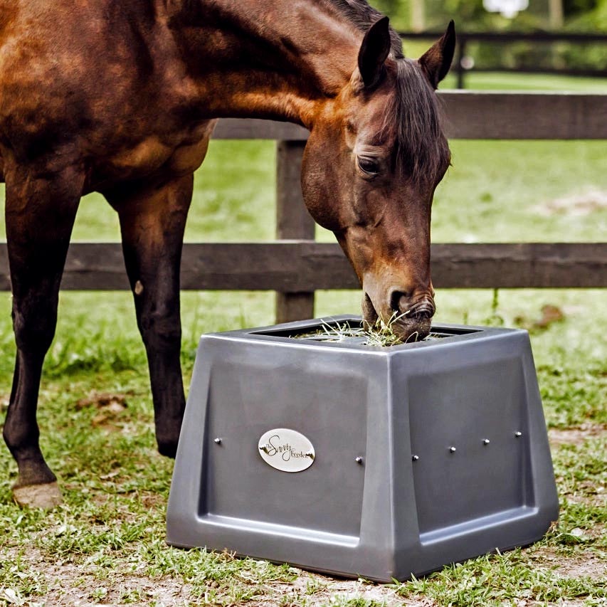 Savvy Feeder | The Best Slow Hay Feeder – Savvy Horse Products