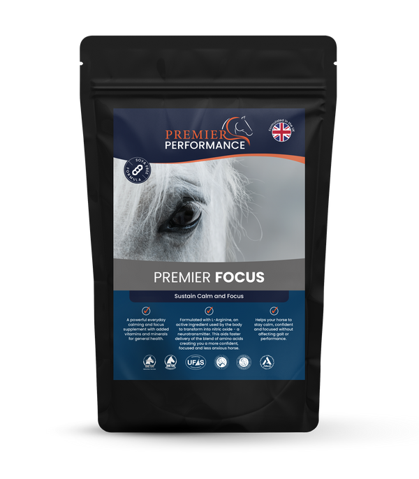 Premier Focus