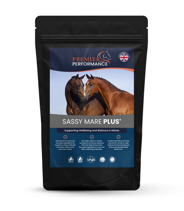 Sassy Mare Plus
