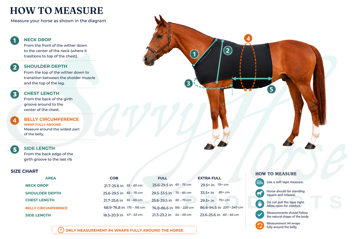 How to measure your horse for a Vetoflex Recovery Belt