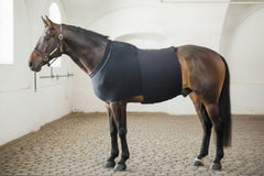 A horse wearing a black recovery hernia belt stable.