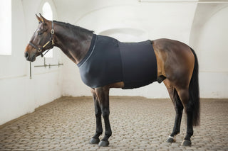 VETOFLEX Recovery Hernia Belt Stable