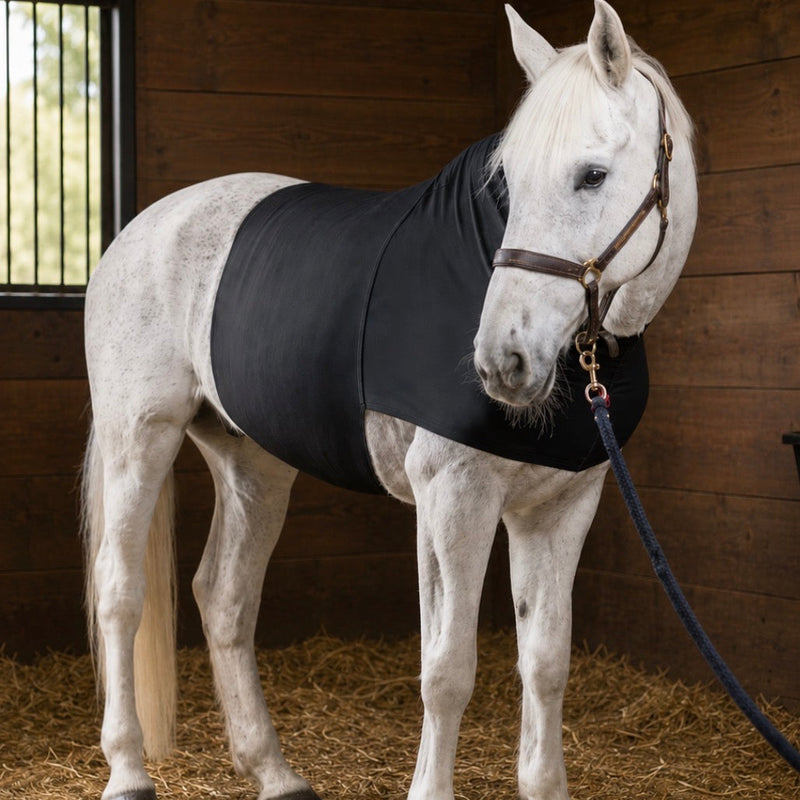 Colic Recovery Belt — Stable