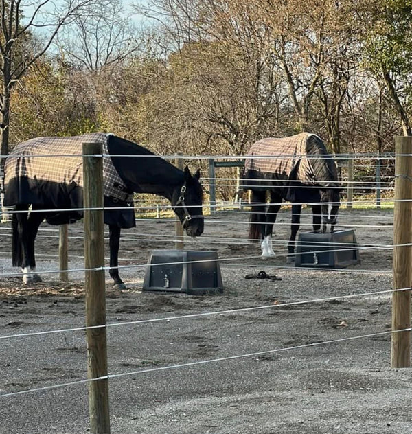 Savvy hay feeders. Working great Jennifer Truett! Horses out in field 6 hours switched now in sand lot for 3 hours. They love it!