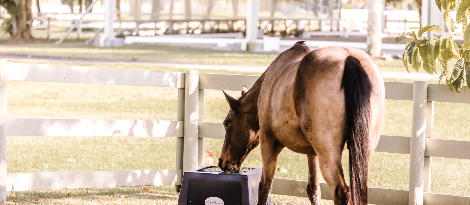 Nibblenet sales ground feeder